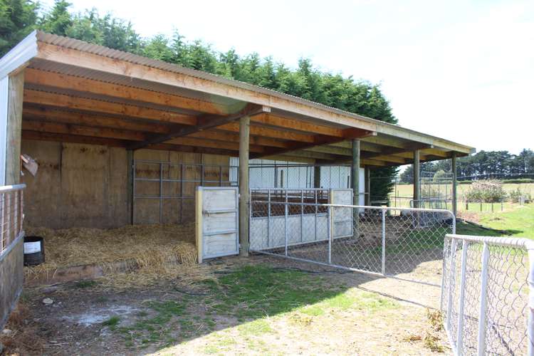 446 Anderson Road Winton Surrounds_18