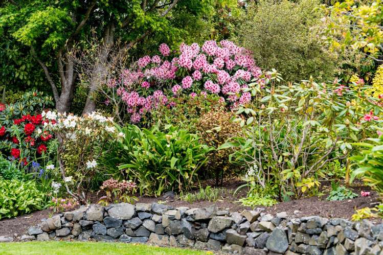 249 Taieri Road Wakari_33