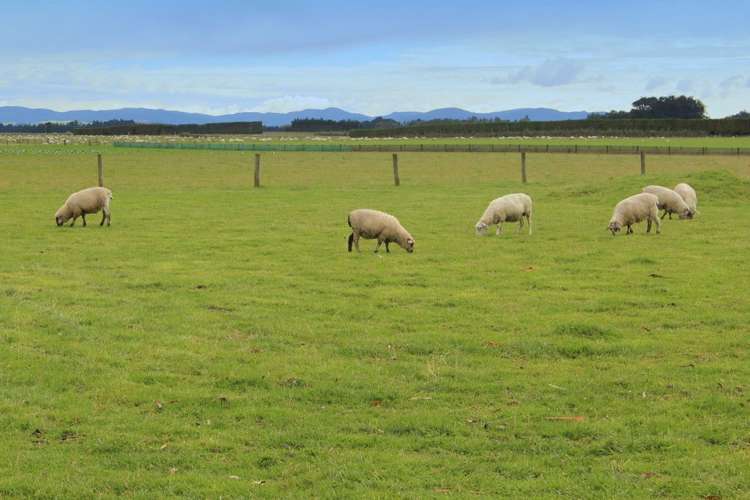 889 Lorne Dacre Road Winton Surrounds_15