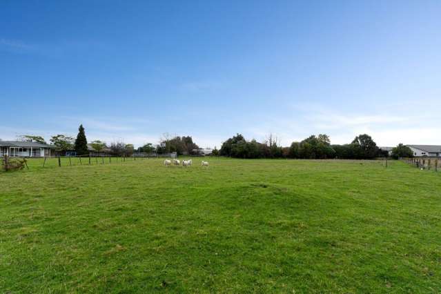 419 Nayland Road Stoke_3
