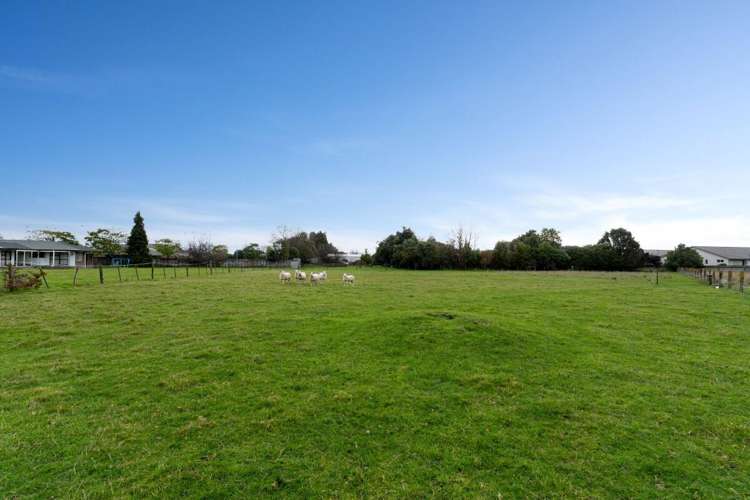 419 Nayland Road Stoke_3