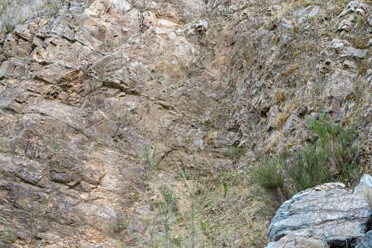 266 Wairoa Gorge Road Brightwater_32