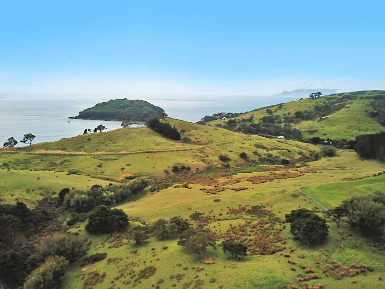 123 Goat Island Road Leigh_8