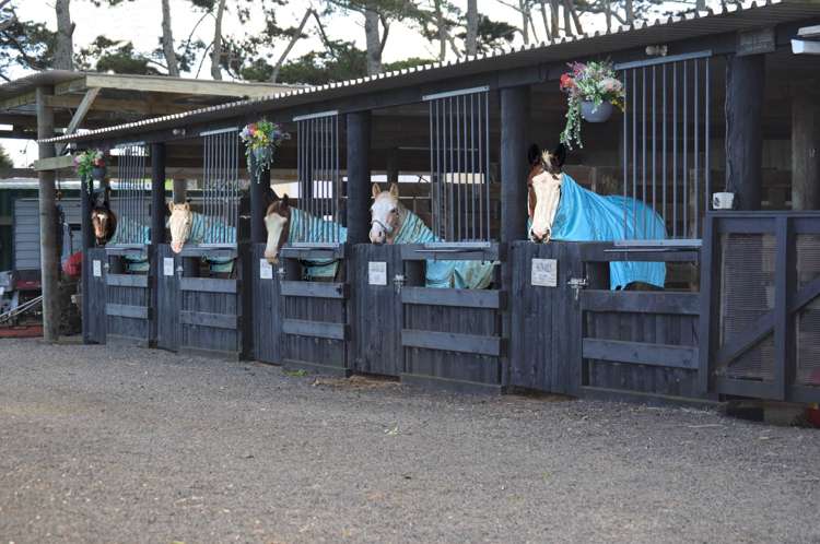 96 Westhead Road Waiuku_3