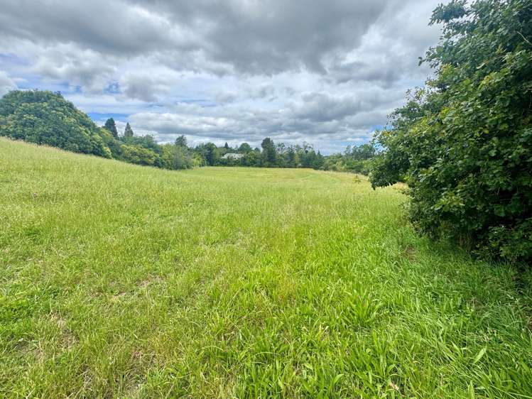 30C State Highway 2 Aongatete_6