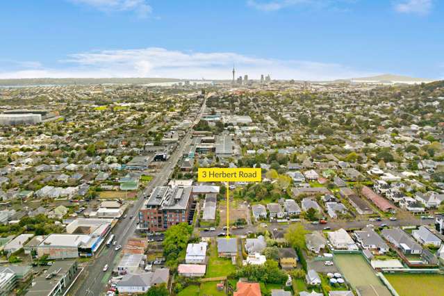 3 Herbert Road Mount Eden_4