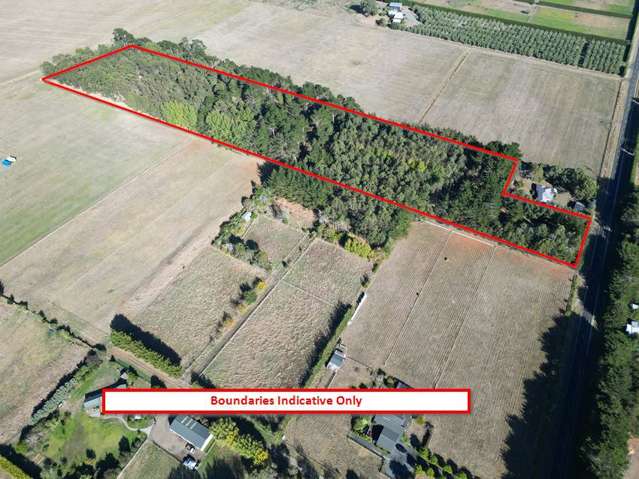 270 Motuiti Road Foxton_2