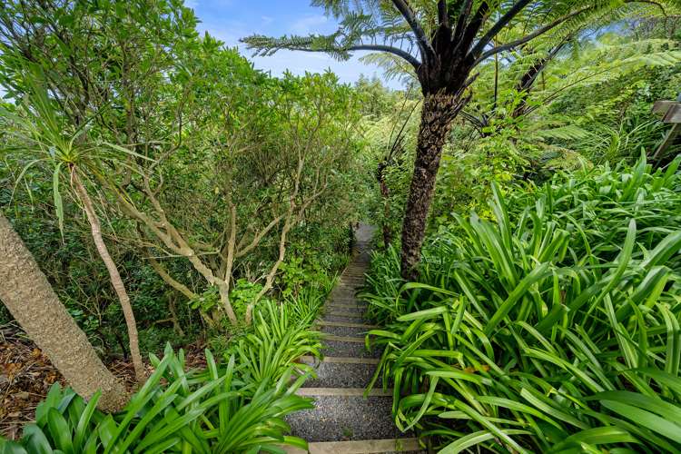 56 Frobisher Street Island Bay_14