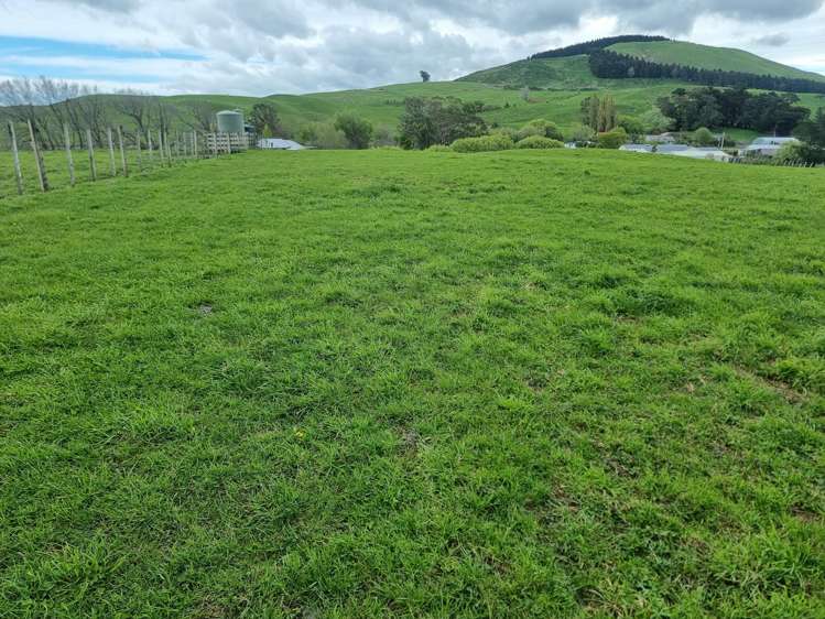 3345A Weber Road Dannevirke_29