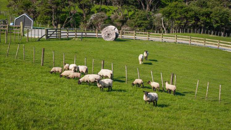153 Waikoukou Valley Road Waimauku_7