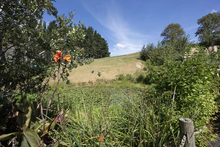 712 Tahekeroa Road Tahekeroa_25