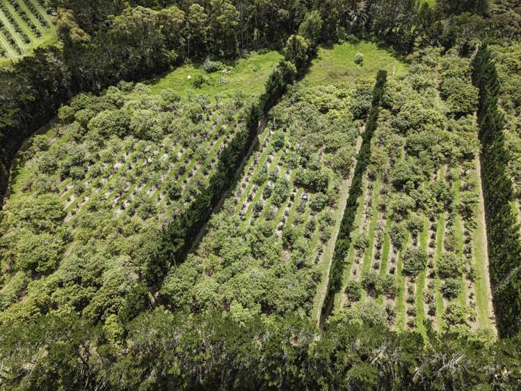 377 Paparore Road Kaitaia_38