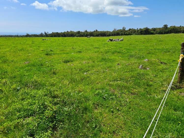 341 Puniho Road Newall_16