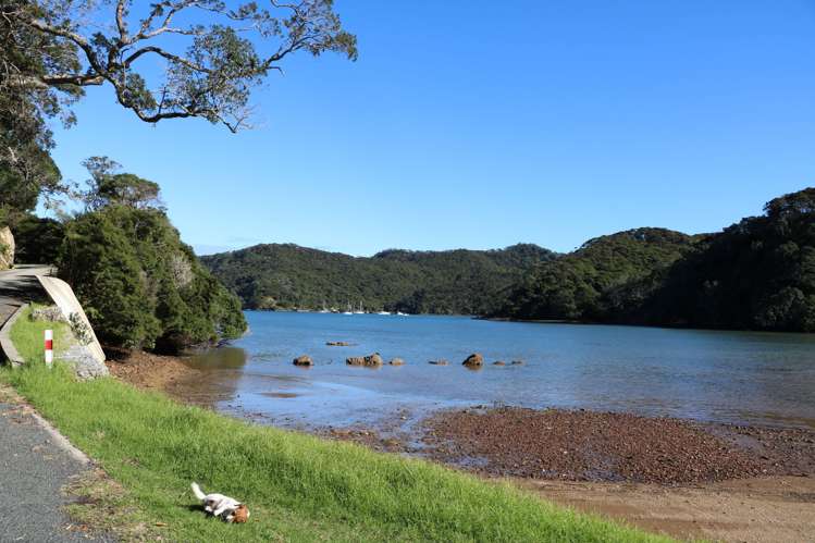 689 Whangaparapara Road Great Barrier Island (Aotea Island)_15