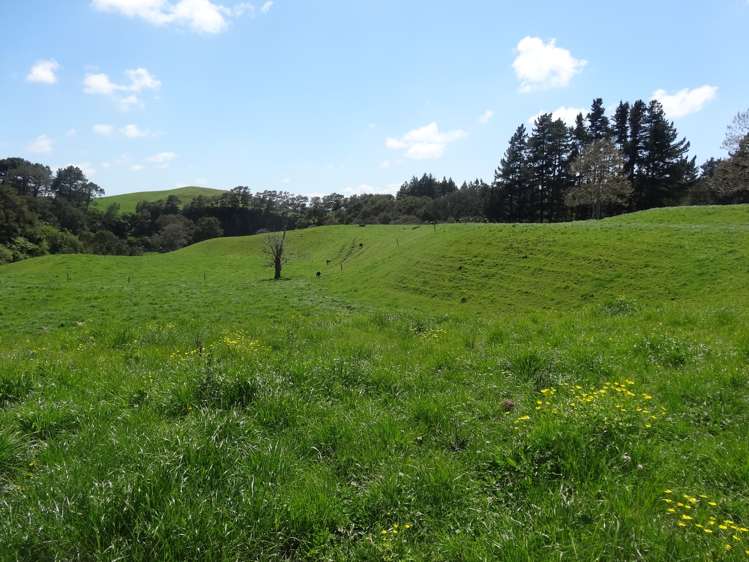 357 State Highway 5 Tapapa_14