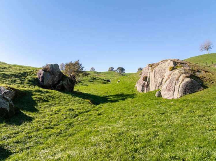 2005 Old Taupo Road Putaruru_22