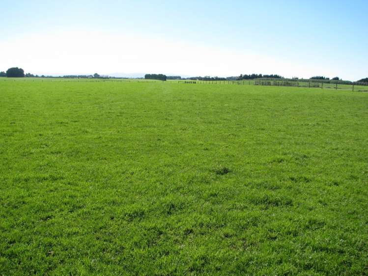 525 Woodlands Morton Mains Road Wyndham Surrounds_2