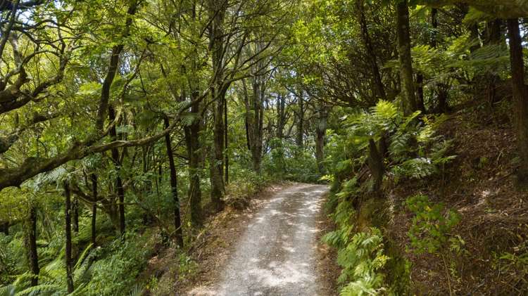 166c Heard Road Waihi_11