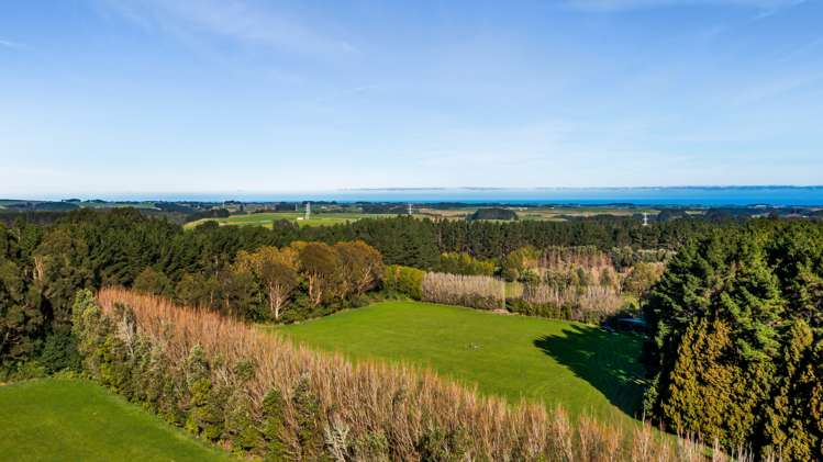 709 Ingahape Road Ohangai_18