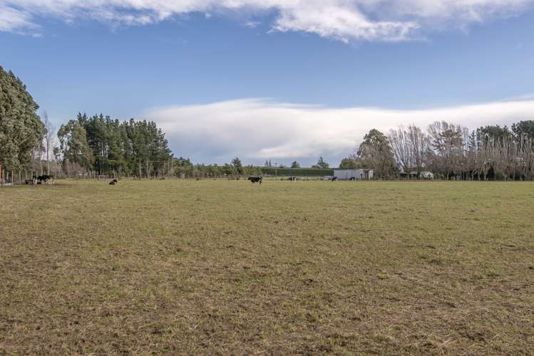 Leeston Dunsandel Road Dunsandel_10