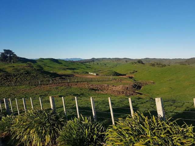 Mahoe Road Waitomo_2