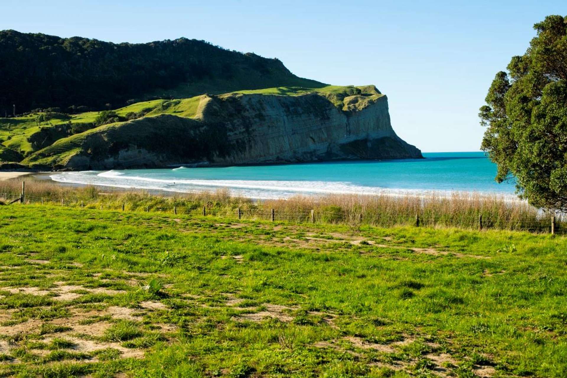 Waiapu Road Tolaga Bay_0