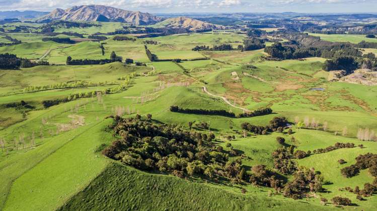 463 Gull Flat Road Central Hawkes Bay Country_15