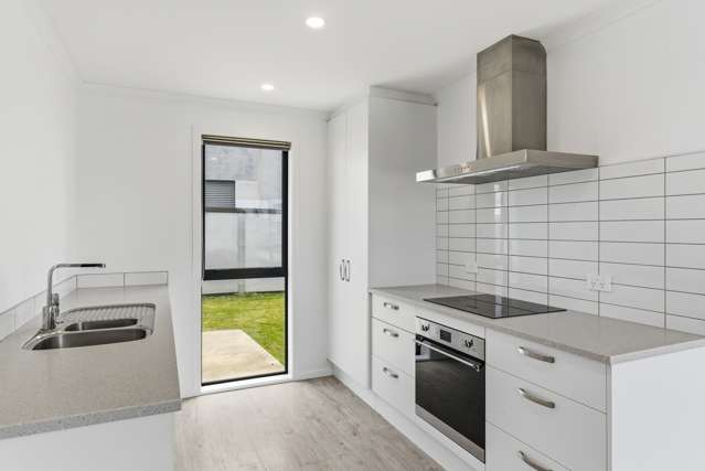 97 Hinemoa Street Levin_1