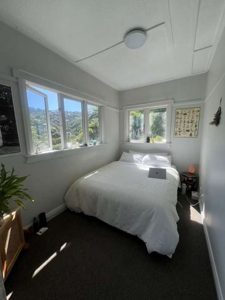 6 Semeloff Terrace Aro Valley_9