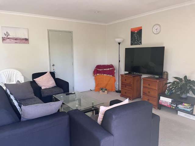 A/71 Wolverton Street Blockhouse Bay_4