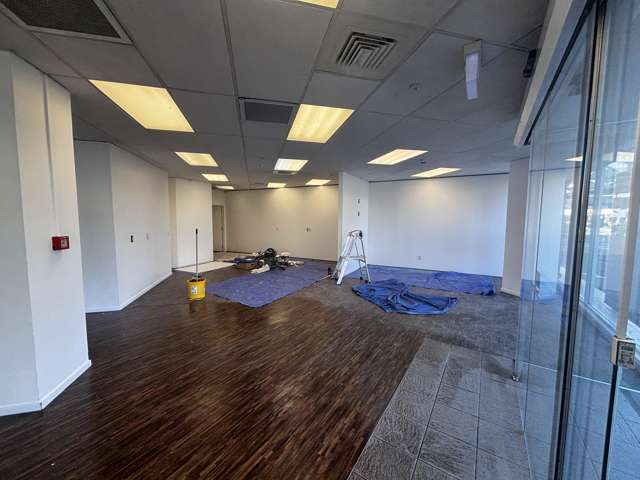 119 Queens Drive Hutt Central_1