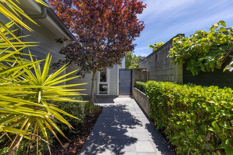 353 Hardy Street Nelson City_3