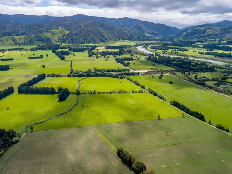 277a Woodside Road Greytown_3