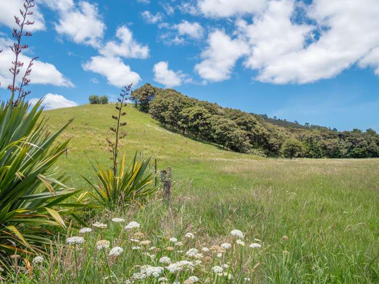 362 Sawyer Rd Mangonui_33