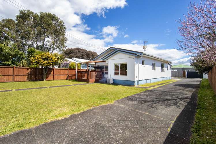 17A Arran Street Avondale_15