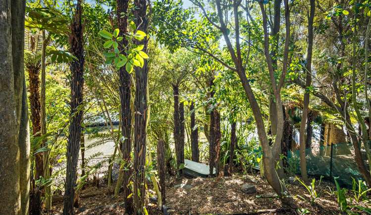 12 Nutfield Lane Cashmere_32