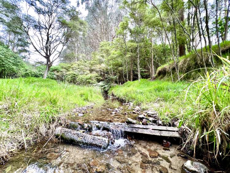 637a Awahou Road Murupara Surrounds_6