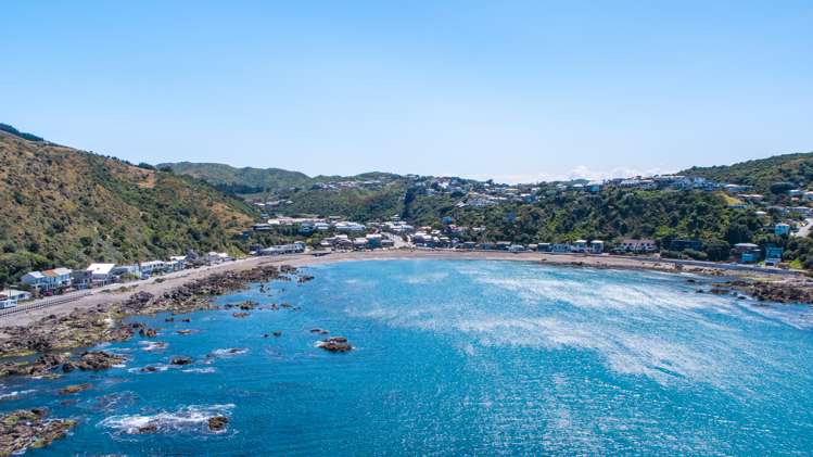 291 Happy Valley Road Owhiro Bay_3