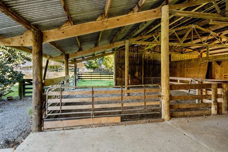 356 Eighty Eight Valley Road Eighty Eight Valley_19