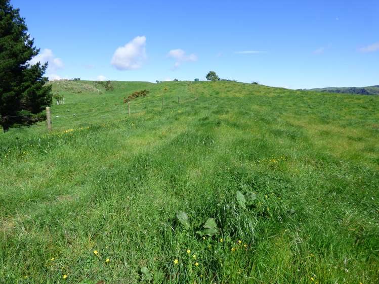 2229 State Highway 31, Kawhia Road Otorohanga_22