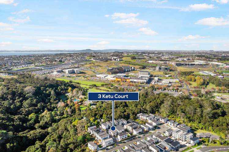 3 Ketu Court Albany Heights_10