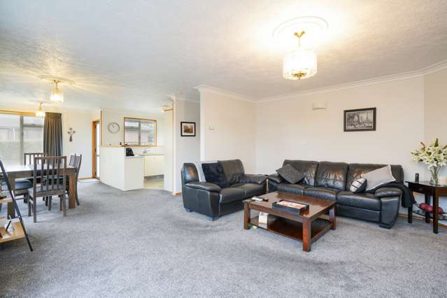 11b Mcauley Place Waikiwi_1