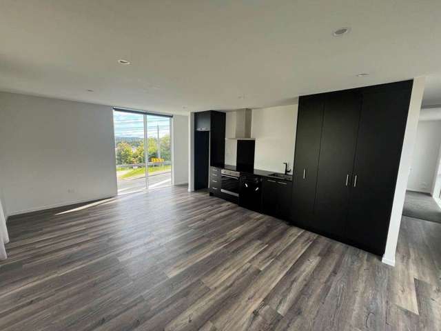 234A Upper Harbour Drive Greenhithe_3