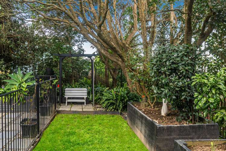 8A Haast Street Remuera_43