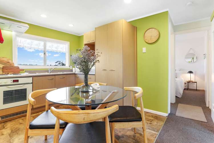 45b Powell Street Avondale_6