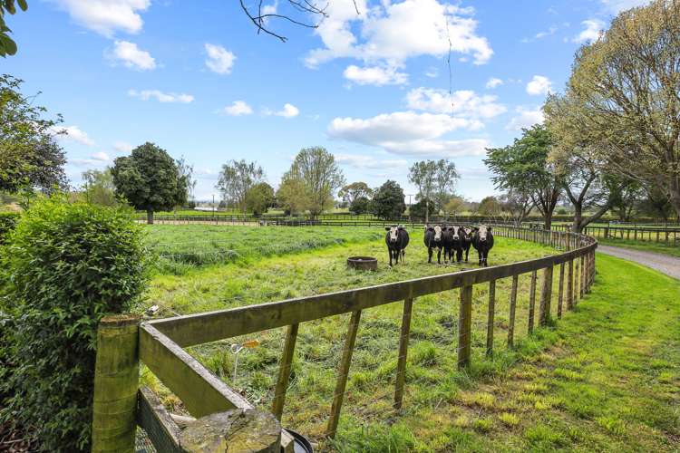 292 Arapuni Road Kihikihi_41