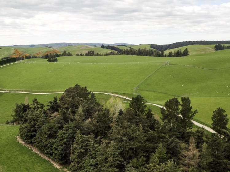 171 Monavale Road Albury_14