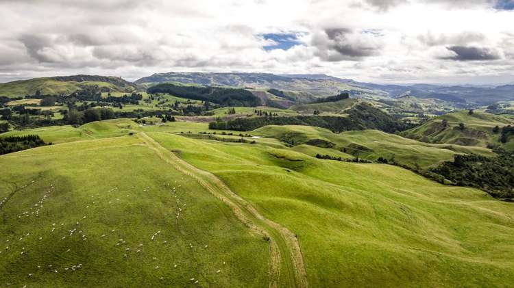 4332 Puketitiri Road Hastings Country_4