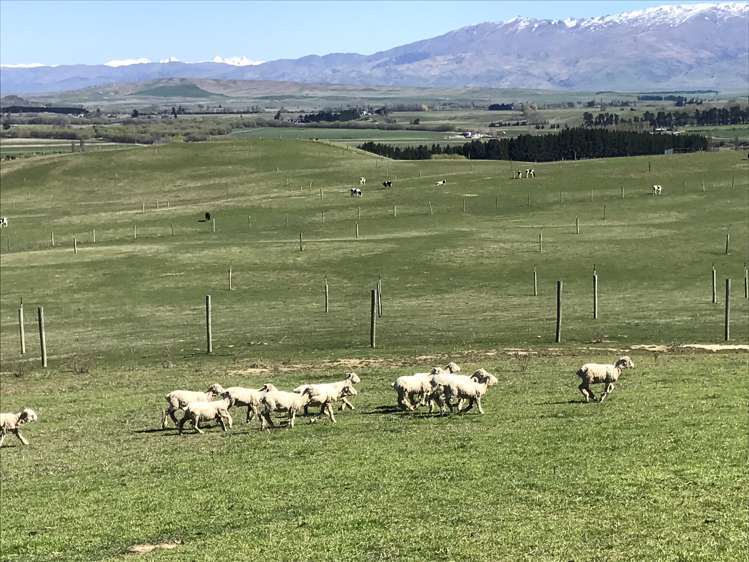 3066 Lauder-Omakau Road Omakau_4