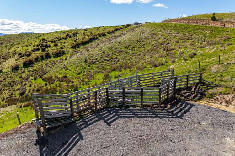 112 Kahu Way Hawkesbury_38